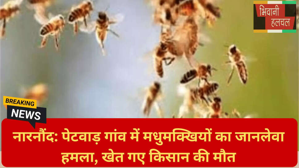 हरियाणा किसान हादसा