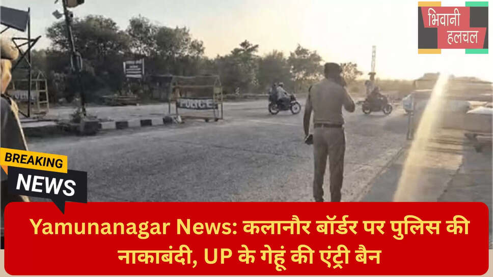 हरियाणा मंडी नियम।