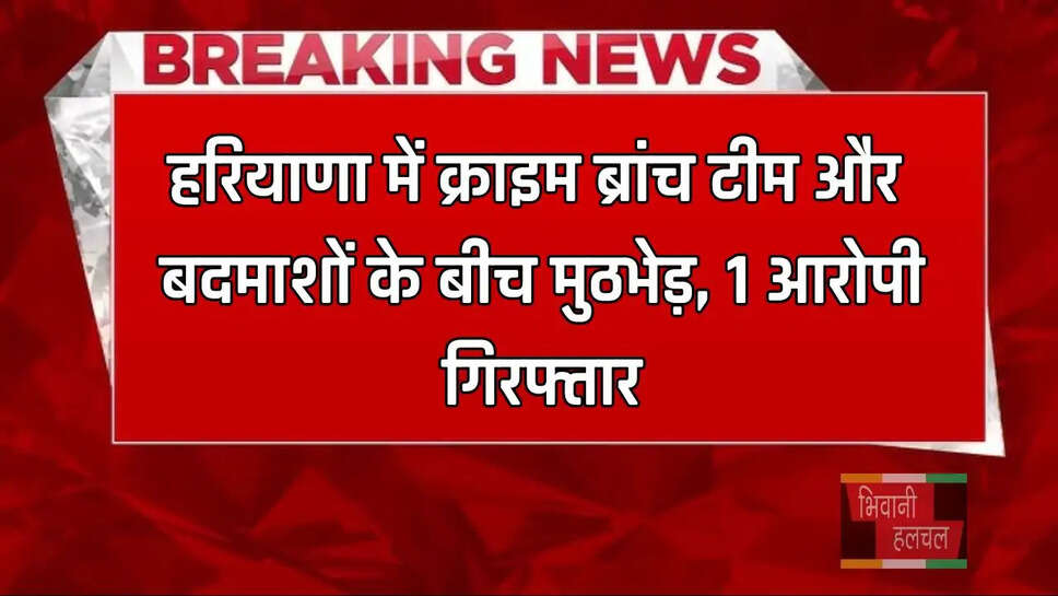 हरियाणा में क्राइम ब्रांच टीम और बदमाशों के बीच मुठभेड़, 1 आरोपी गिरफ्तार