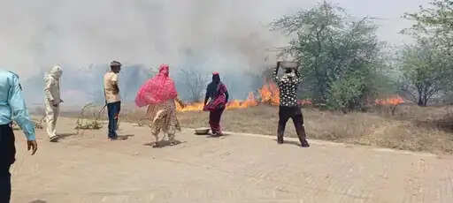 अग्रोहा टीले के जंगल में लगी भीषण आग