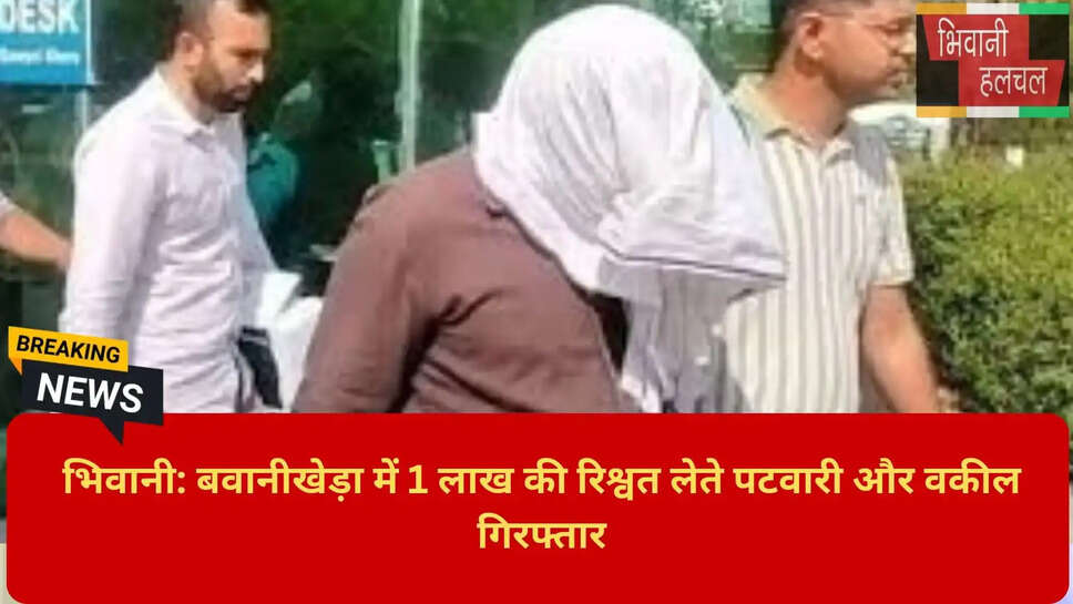 Patwari Narendra Bribe Case Bhiwani