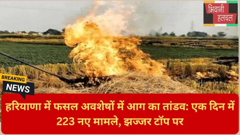 पराली के आंकड़े 2026