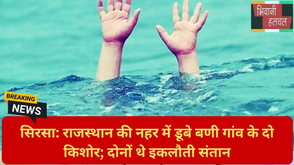 सिरसा लोकल न्यूज़