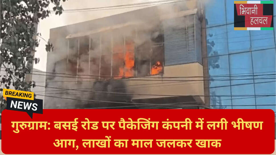 हरियाणा न्यूज़