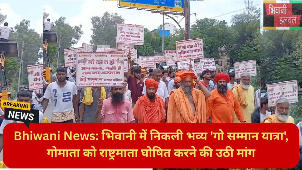 हरियाणा समाचार
