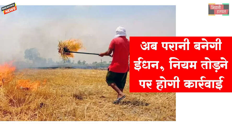 अब पराली बनेगी ईंधन, ईंट-भट्ठों में अनिवार्य उपयोग&nbsp;