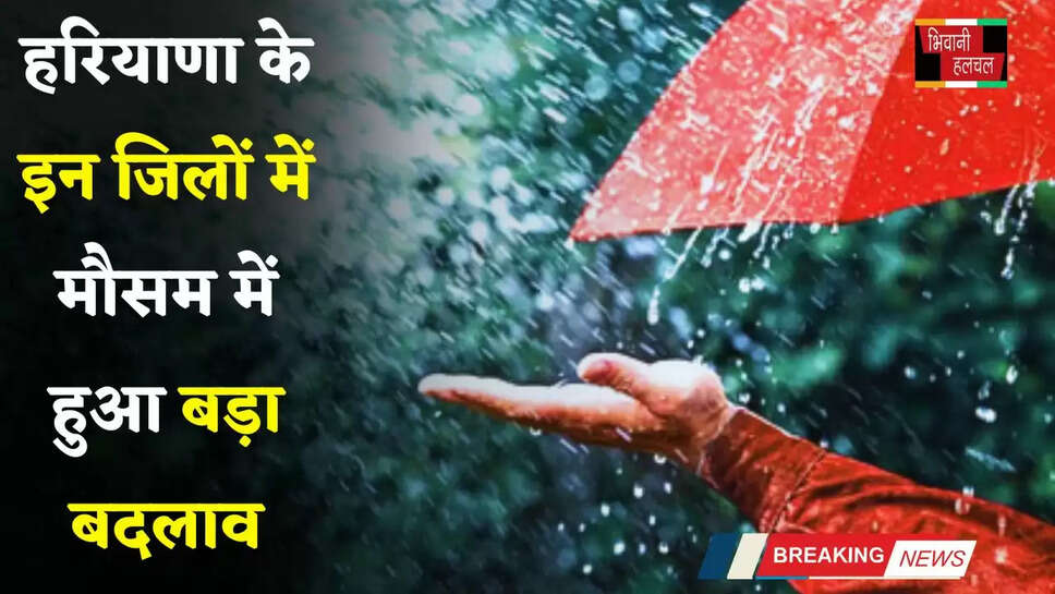 Haryana Weather: हरियाणा के इन जिलों में मौसम में हुआ बड़ा बदलाव, इन जगहों पर बारिश हुई शुरू