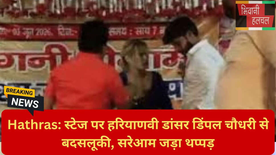 डिंपल चौधरी इंस्टाग्राम वीडियो