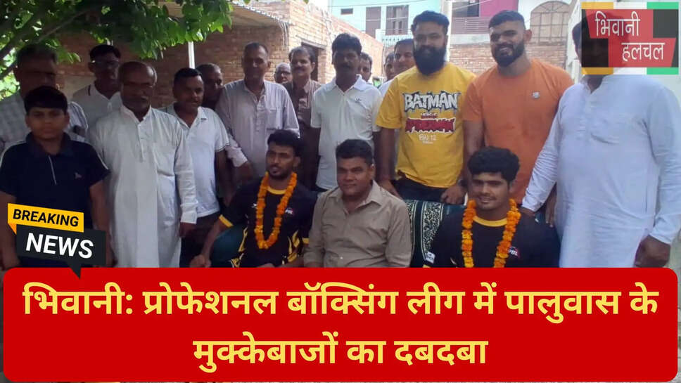 इंडियन एमेच्योर बॉक्सिंग फेडरेशन