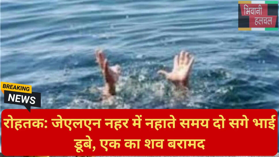 एसडीआरएफ रोहतक