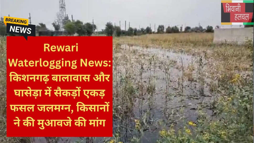रेवाड़ी बारिश विशेष गिरदावरी