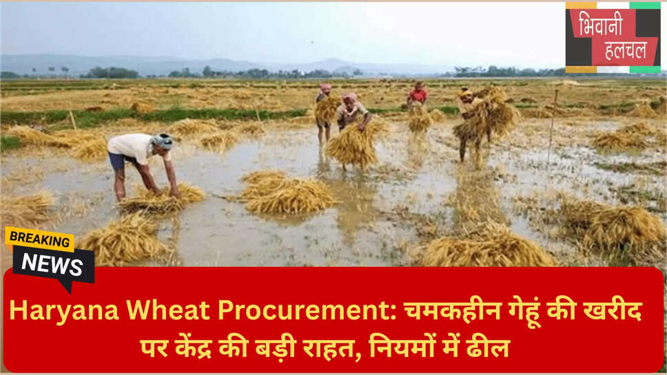 सिकुड़े और टूटे दाने की खरीद