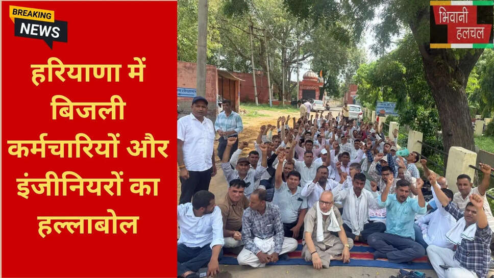 हरियाणा न्यूज हिंदी