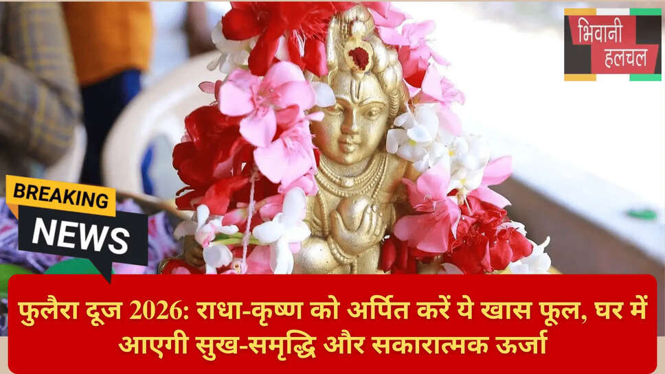 19 February 2026 Festival