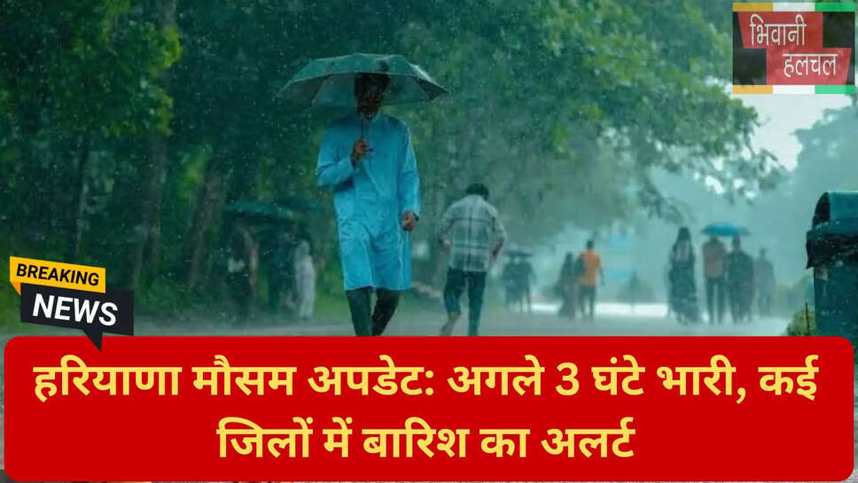 हरियाणा के जिलों में बारिश का पूर्वानुमान