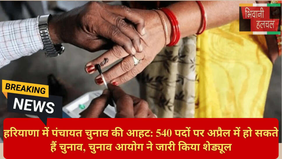 हरियाणा सरपंच चुनाव न्यूज़