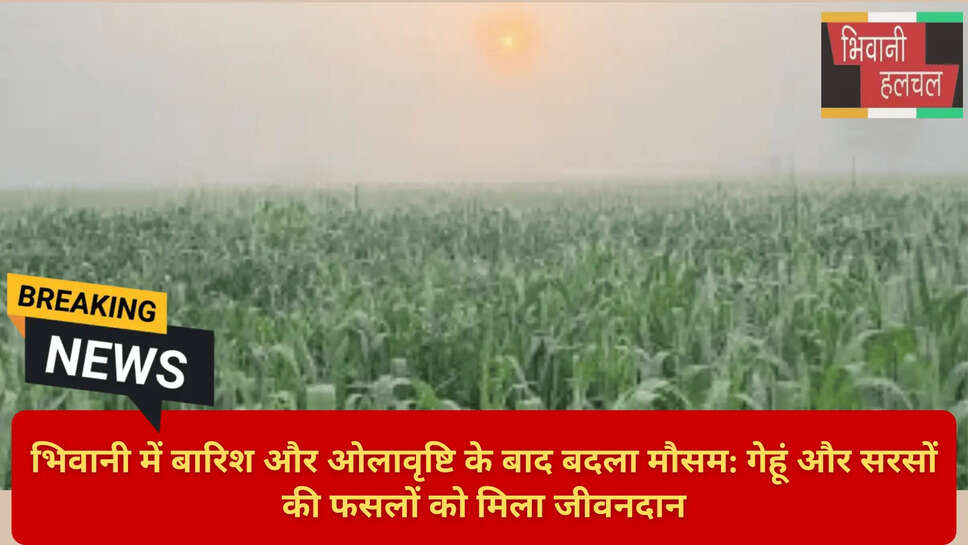 भिवानी AQI