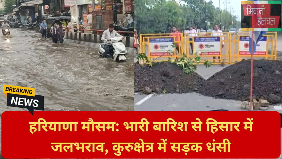 हरियाणा भारी बारिश खबर