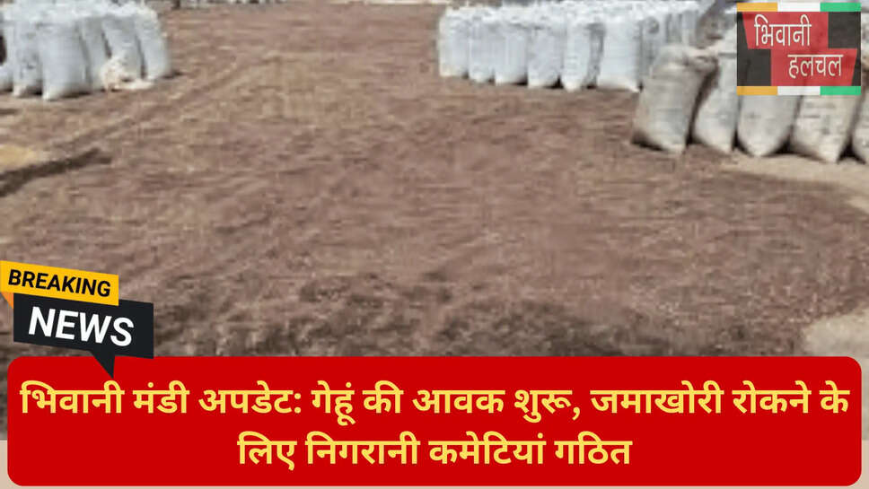 सरसों की प्राइवेट बोली भिवानी