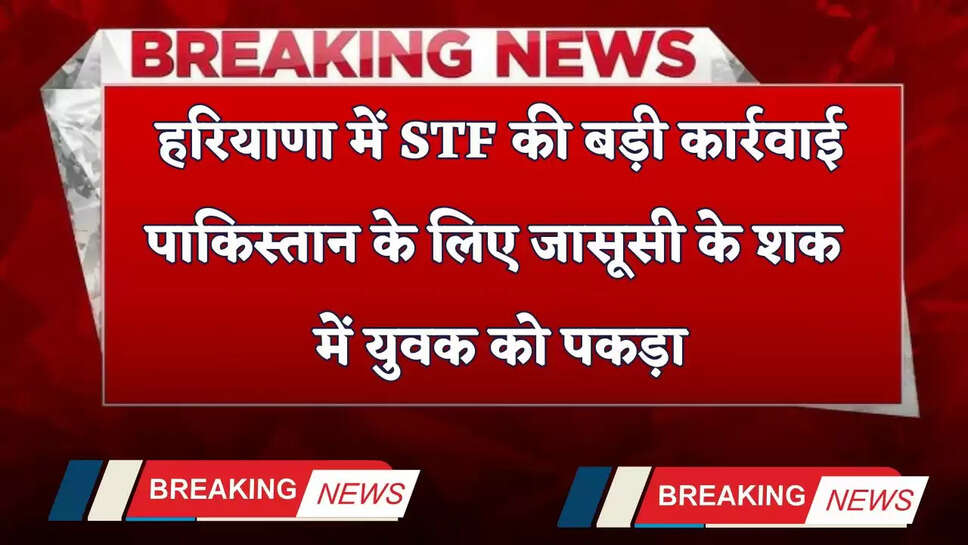 Haryana: हरियाणा में STF की बड़ी कार्रवाई, पाकिस्तान के लिए जासूसी के शक में युवक को पकड़ा