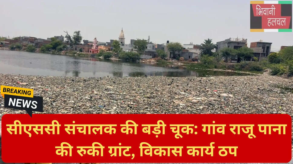 हरियाणा सरपंच समस्या