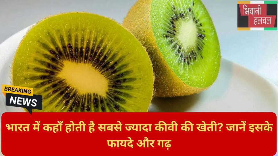 सुपरफूड कीवी के गुण