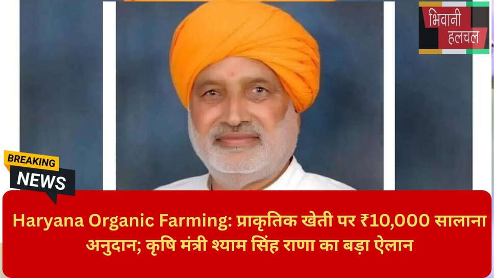 Organic Farming Land Lease Haryana