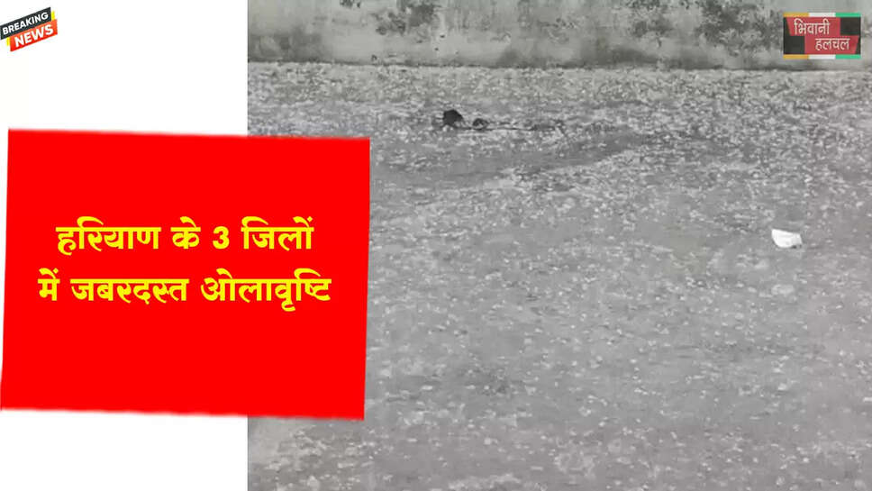 हरियाणा के 3 जिलों में जबरदस्त ओलावृष्टि&nbsp;