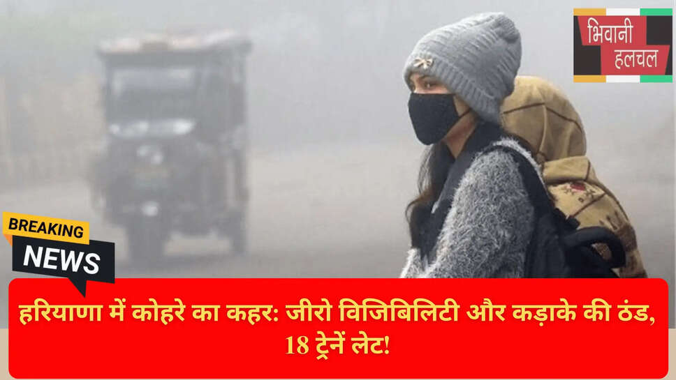 Cold Wave Haryana Post Rain