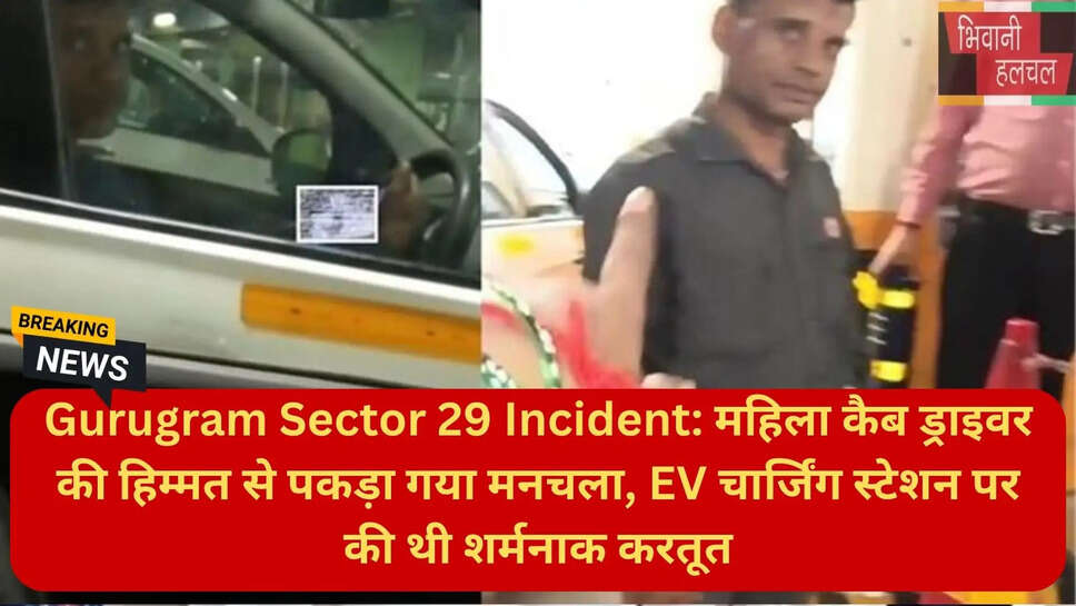 दिल्ली एनसीआर कैब ड्राइवर