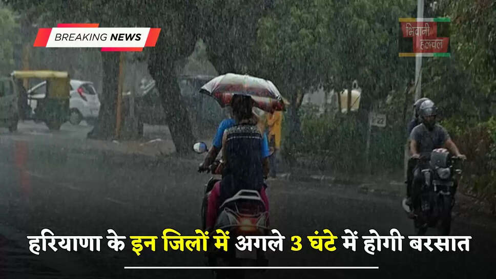 हरियाणा के इन जिलों में अगले 3 घंटे में होगी बरसात, देखें मौसम पूर्वानुमान&nbsp;