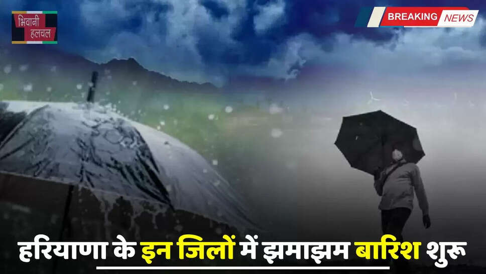 Haryana Weather: हरियाणा के इन जिलों में झमाझम बारिश शुरू, देखें अगले 2 दिन कहां-कहां होगी बरसात ?