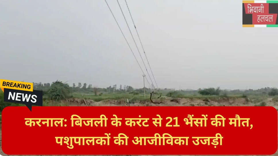 करनाल नेशनल हाईवे हादसा