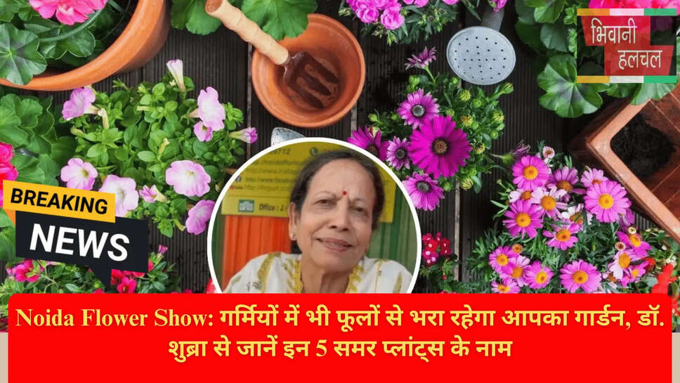 Tecoma and Sunflower Plants