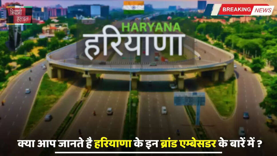 Haryana: क्या आप जानते है हरियाणा के इन ब्रांड एम्बेसडर के बारें में ? नहीं तो आइए जाने&nbsp;