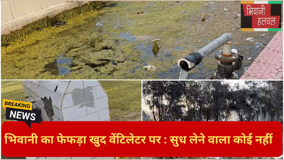 भिवानी न्यूज़ अपडेट