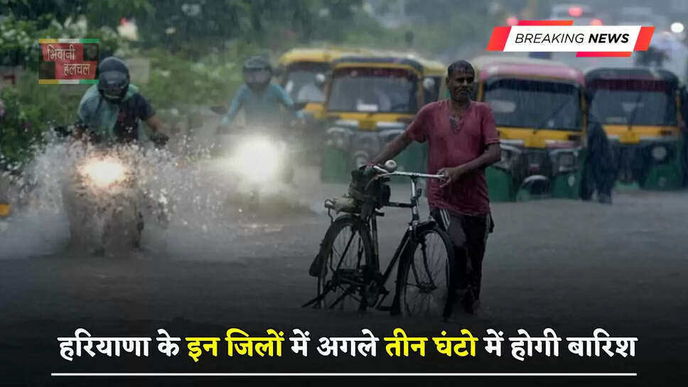 हरियाणा के इन जिलों में अगले तीन घंटो में होगी बारिश, जाने विभाग का ताजा अपडेट?