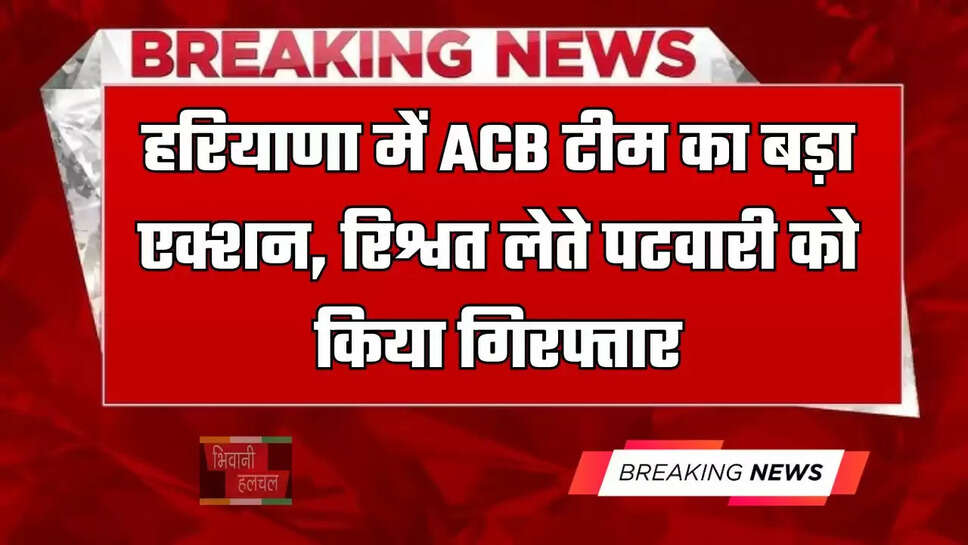 हरियाणा में ACB टीम&nbsp;का बड़ा एक्शन,&nbsp;रिश्वत लेते पटवारी को किया&nbsp;गिरफ्तार