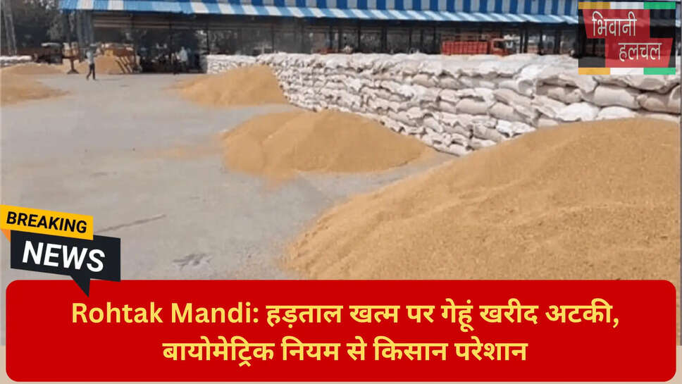 मंडी में गेहूं आवक