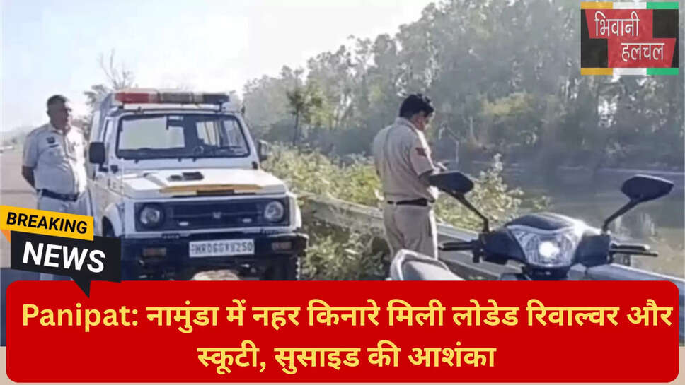 जिंदा कारतूस बरामद