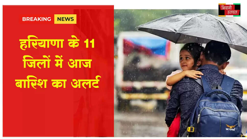 हरियाणा के 11 जिलों में आज बारिश का अलर्ट