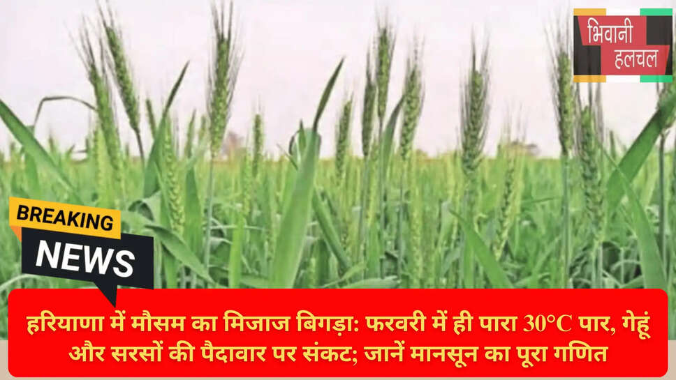 Climate Change Impact on Wheat