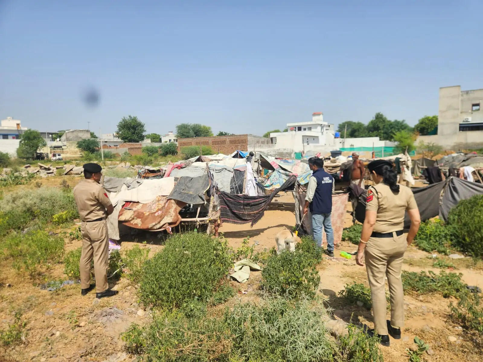 मादक पदार्थों