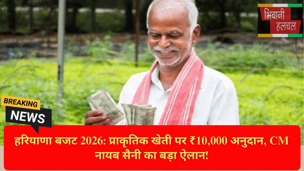 Zero Budget Spiritual Farming