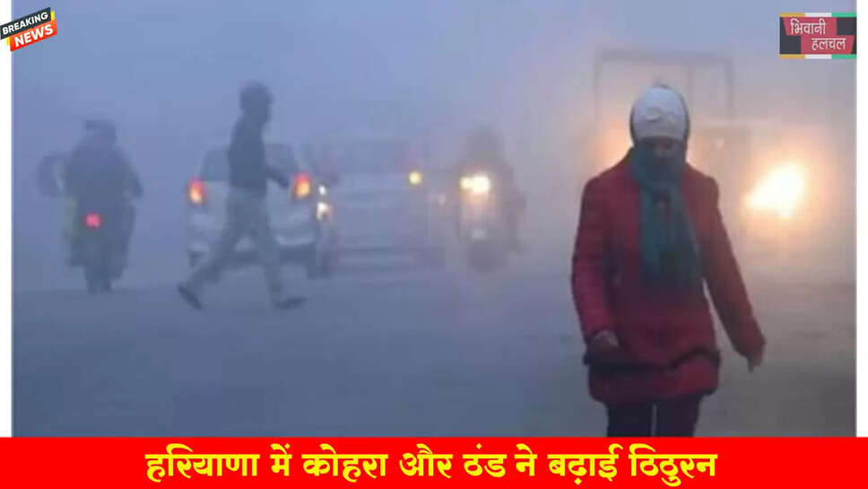 हरियाणा में कोहरा और ठंड ने बढ़ाई ठिठुरन&nbsp;