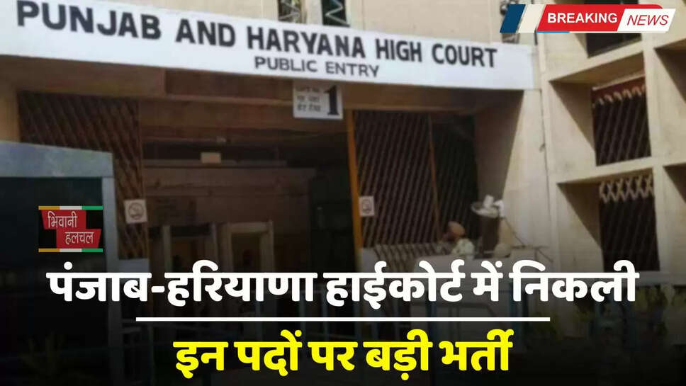 High Court Jobs: पंजाब-हरियाणा हाईकोर्ट में निकली इन पदों पर बड़ी भर्ती, जल्दी करें आवेदन