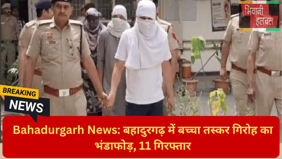 हरियाणा क्राइम न्यूज़