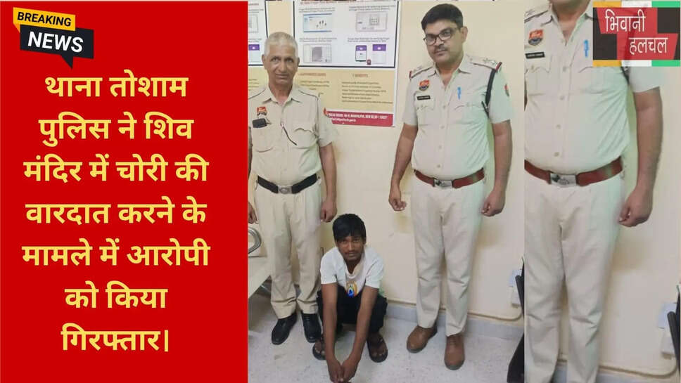 पीतल का नाग बरामद
