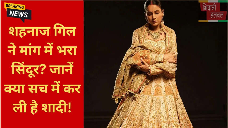 शहनाज गिल लेटेस्ट न्यूज़