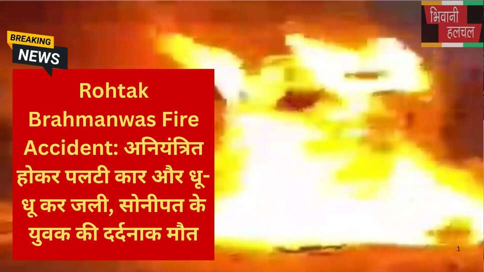 रोहतक पुलिस कार्रवाई